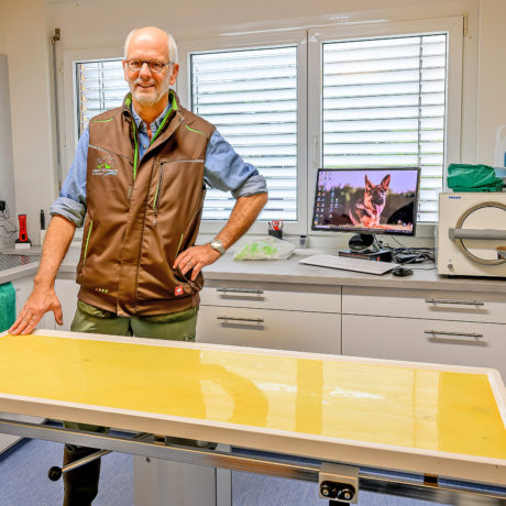 Dilemme difficile pour les vétérinaires