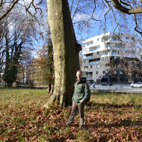 Ces grands arbres qu’il faut protéger