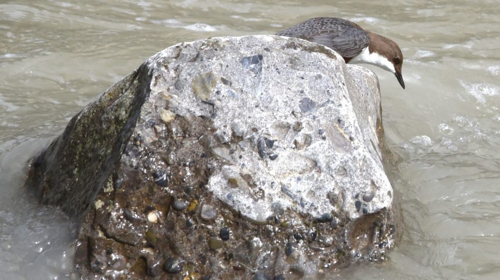 Le monde à ma porte - 15 décembre 2023