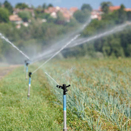 Une alliance inédite pour décarboner l’agriculture romande