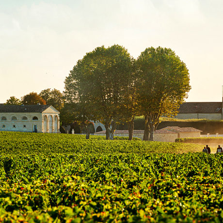 Cinq journées sous le signe du Médoc