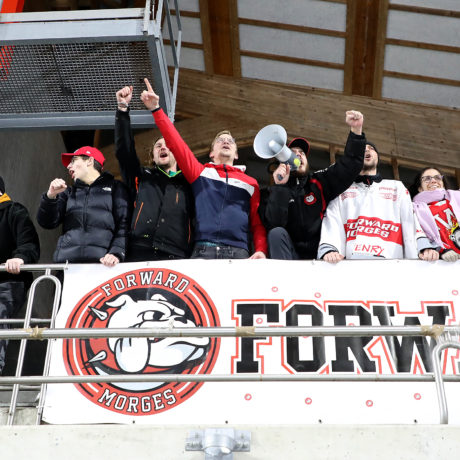 La meute des Bulldogs dans l’acte II