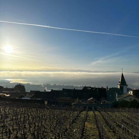 Bougy-Villars: C’est parti pour le chauffage à distance
