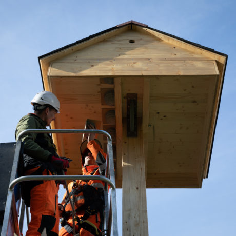 Deux tours pour protéger les oiseaux en ville