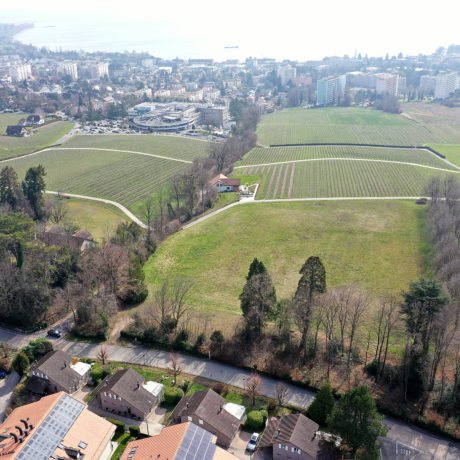 Un EMS, des logements protégés et une crèche?