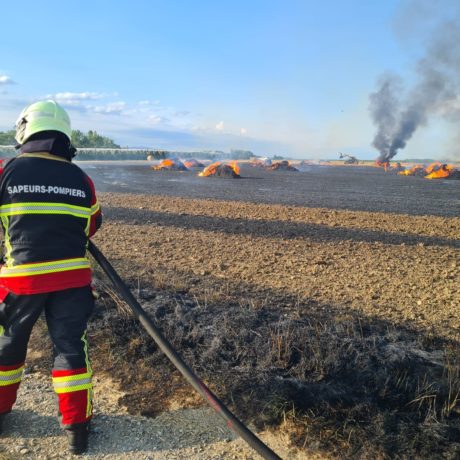 Mieux combattre les feux de forêt