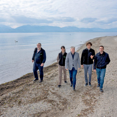 Des algues comme énergie verte et locale