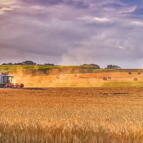 L’agriculture bio vaudoise a rattrapé son retard