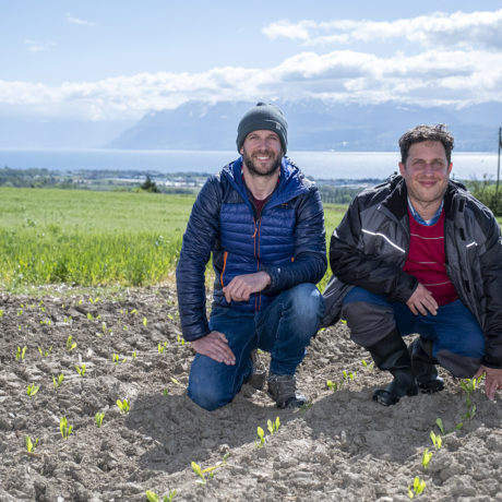 Aubonne: Leur symbiose se base sur l’humanité
