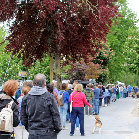 Les tulipes de la Fête à la maison