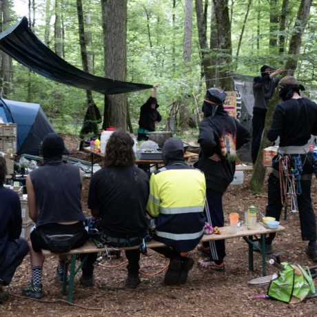 Les activistes en mode laisse béton dans la forêt de Ballens