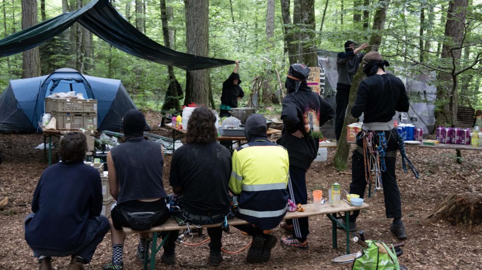 Les activistes en mode laisse béton dans la forêt de Ballens