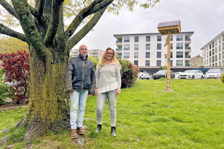 Bussigny: un écosystème florisant