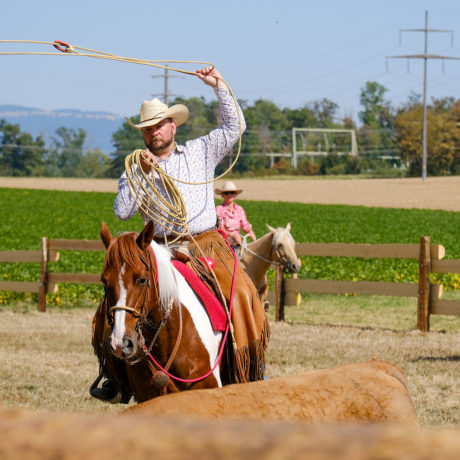 Visiteurs de Camargue pour la 2e de Festif Vaux