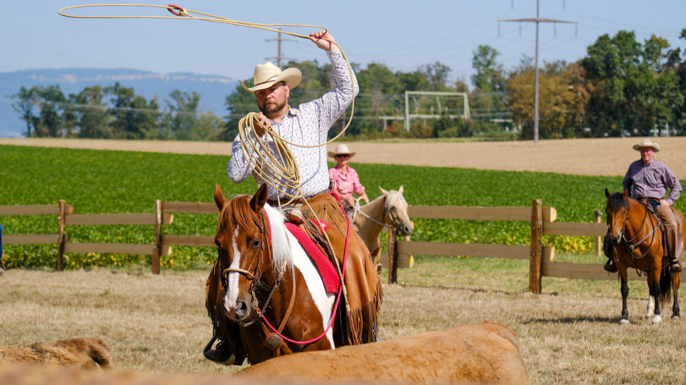Visiteurs de Camargue pour la 2e de Festif Vaux