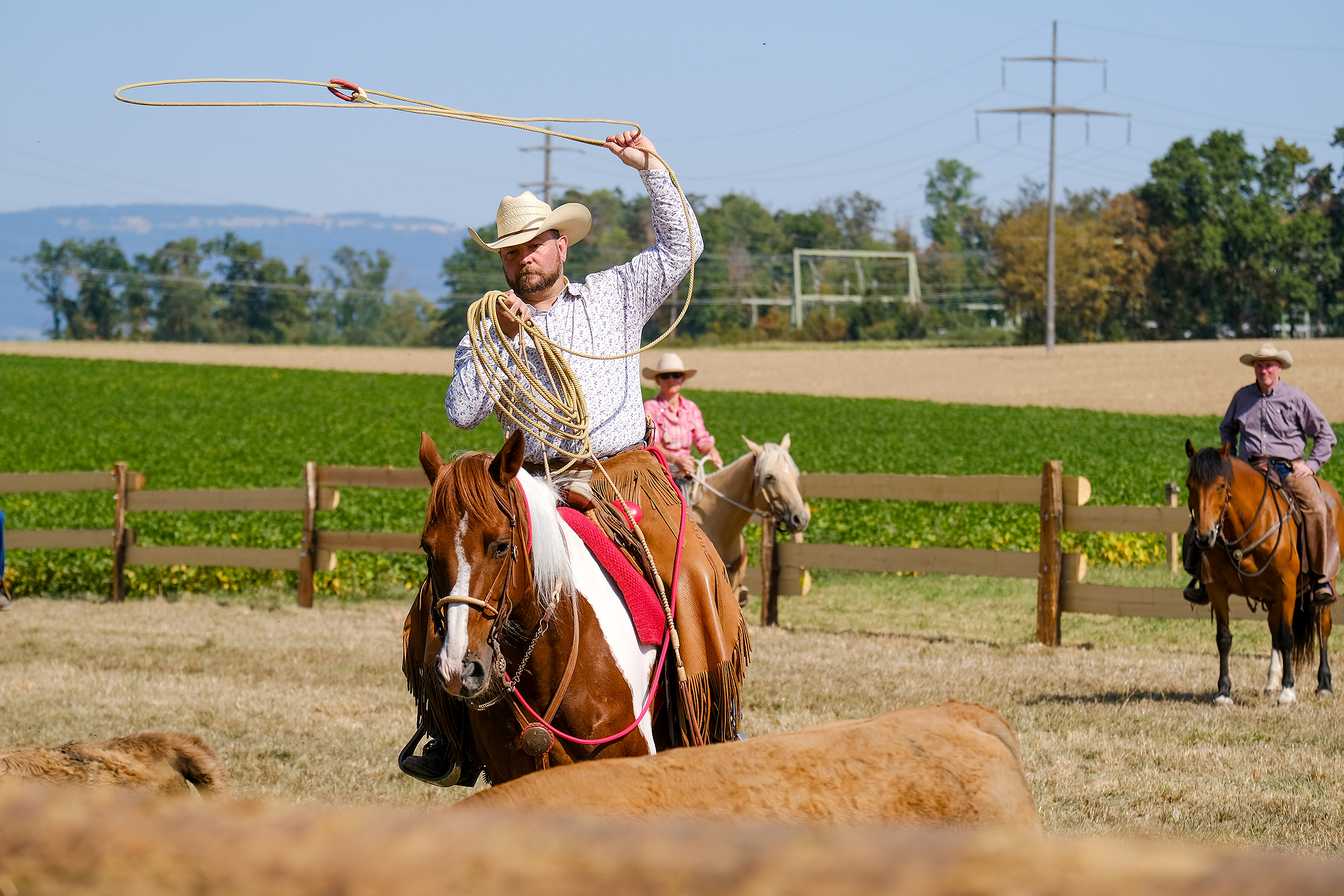 Visiteurs de Camargue pour la 2e de Festif Vaux