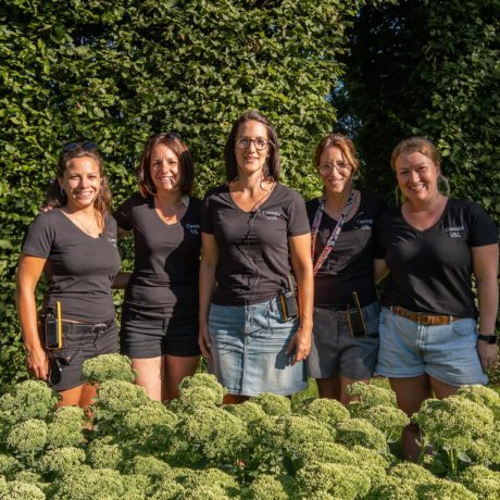 Succès estival et convivial pour les Fêtes au château