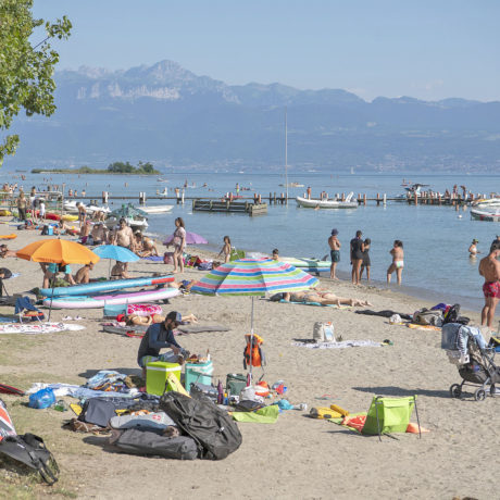 Du sable pour sauver les peupliers