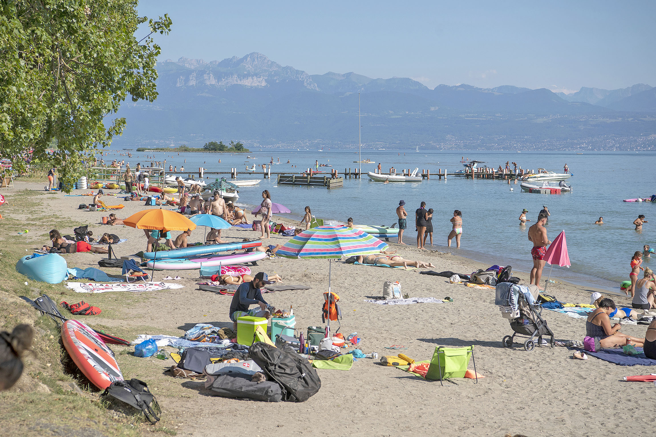 Du sable pour sauver les peupliers