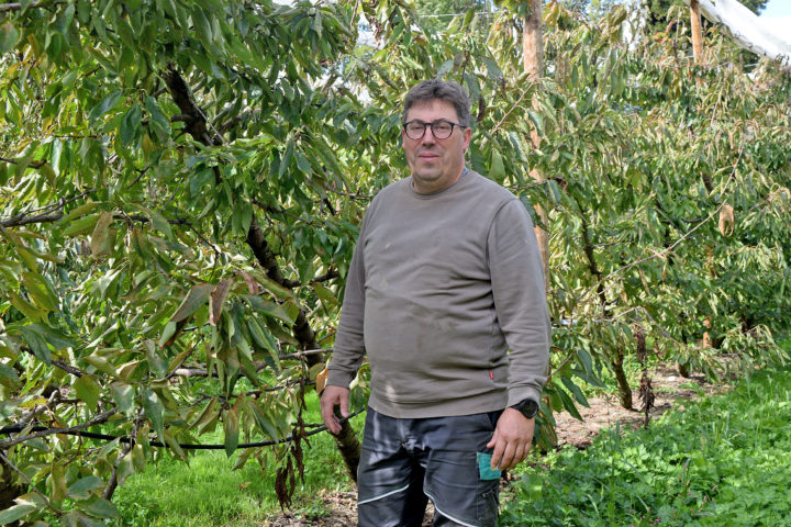 «Nous avons eu la chance d’avoir des pionniers»