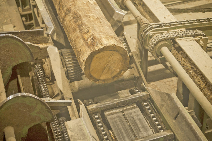 Valoriser le bois bostryché est un enjeu d’avenir. Photo: Dumauthioz/VQH