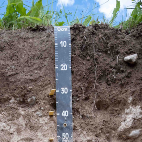 Un plan d’action vaudois pour accélérer la protection des sols