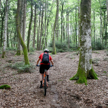 Des activités pour tous dans la région