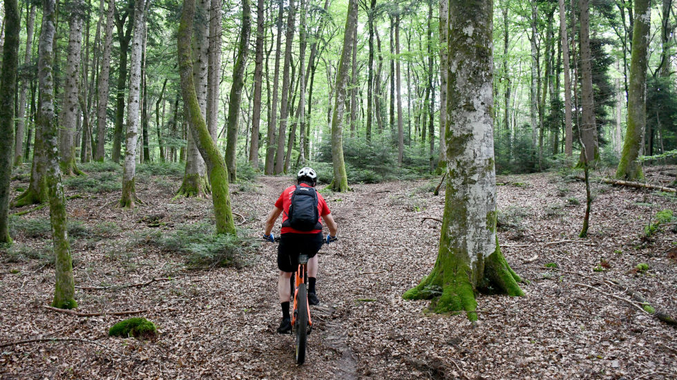 Des activités pour tous dans la région