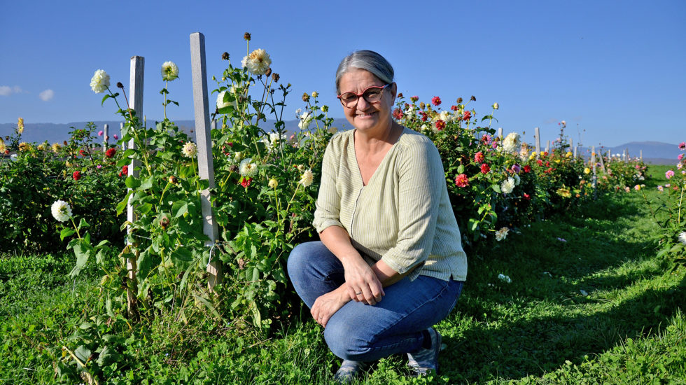 Mille et une fleurs... à cueillir sans limite