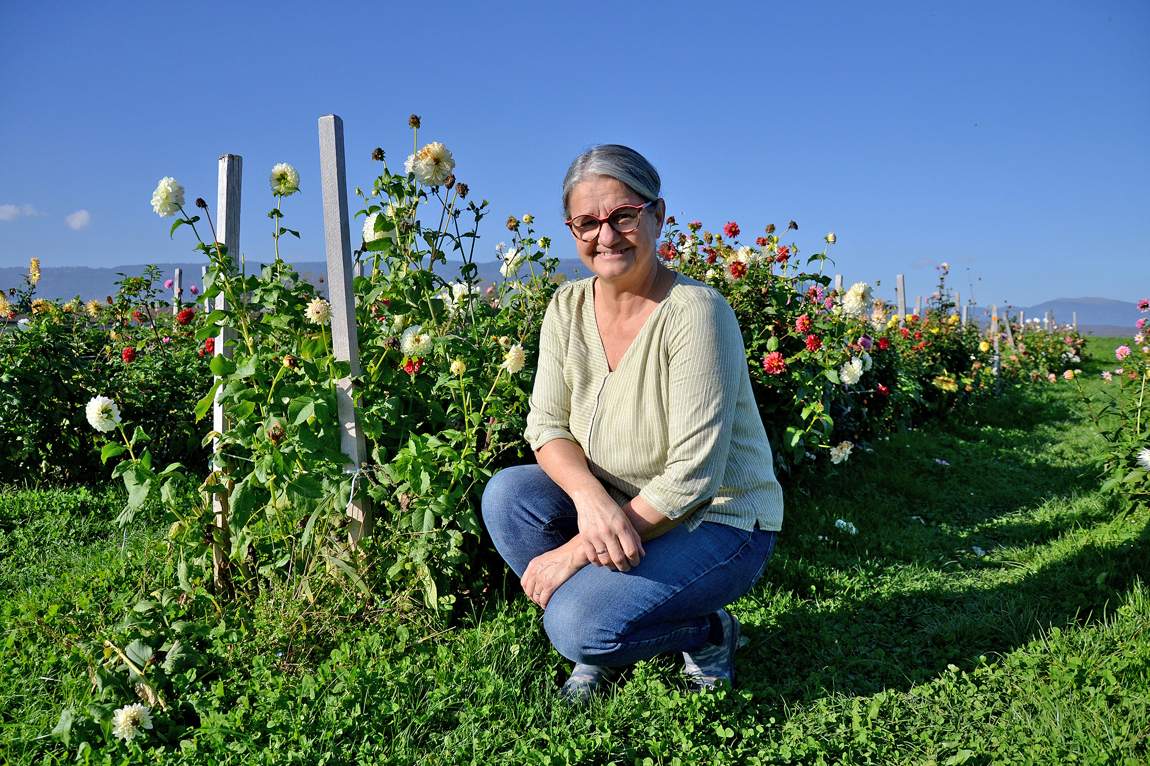 Mille et une fleurs… à cueillir sans limite