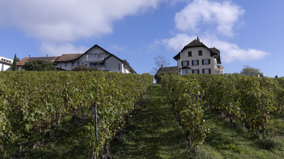 Coup de poker risqué au Domaine des Abbesses