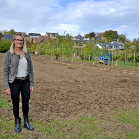 Saint-Prex mise tout sur les jeunes arbres