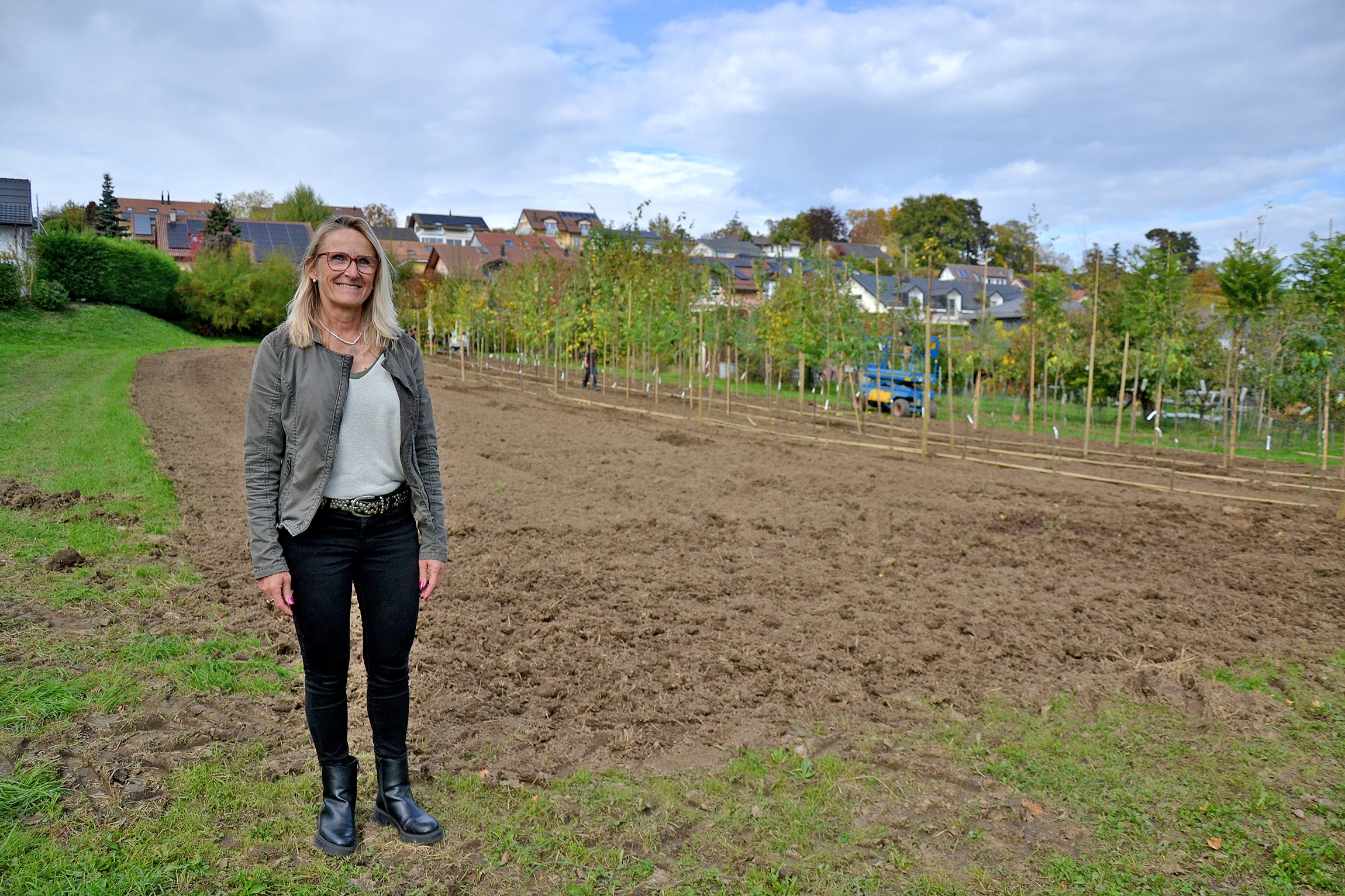 Saint-Prex mise tout sur les jeunes arbres