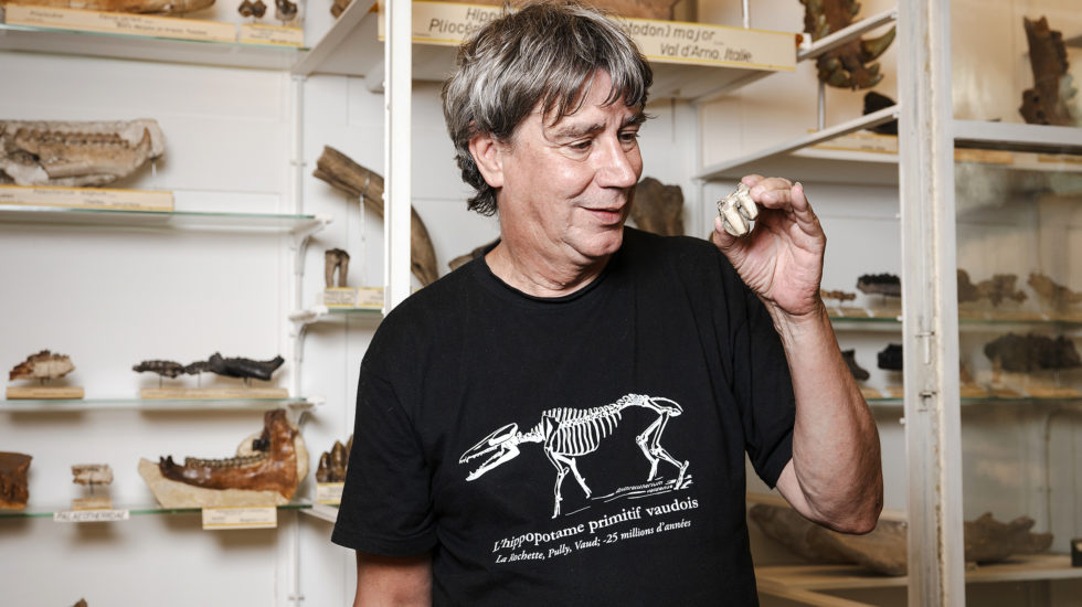 L'histoire fascinante de la molaire de la Morges