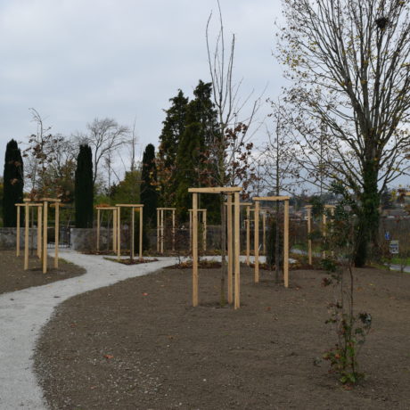 À Lully, un repos éternel auprès des arbres