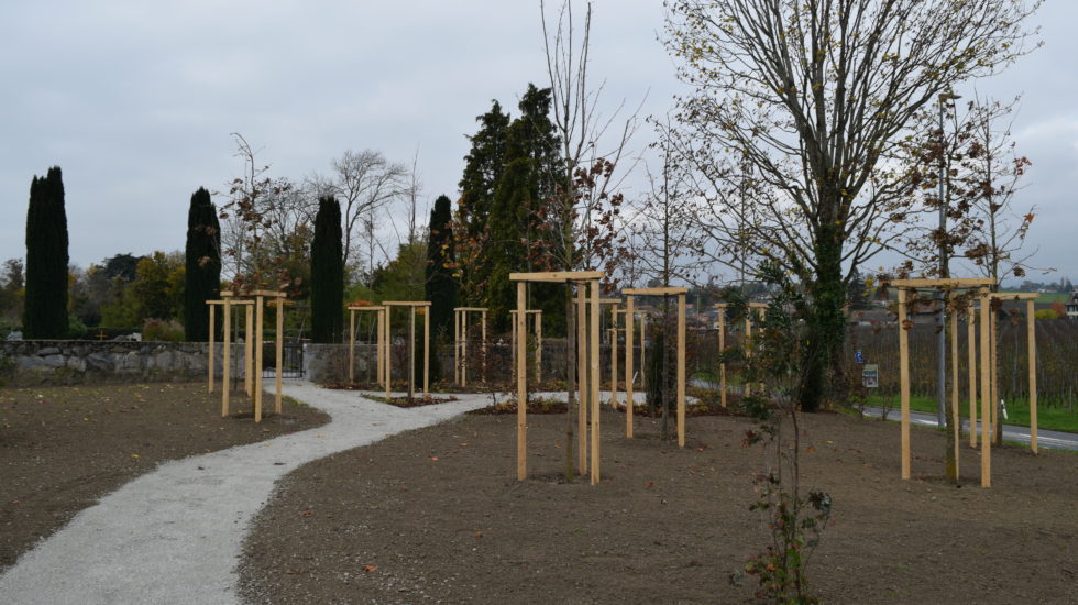 À Lully, un repos éternel auprès des arbres