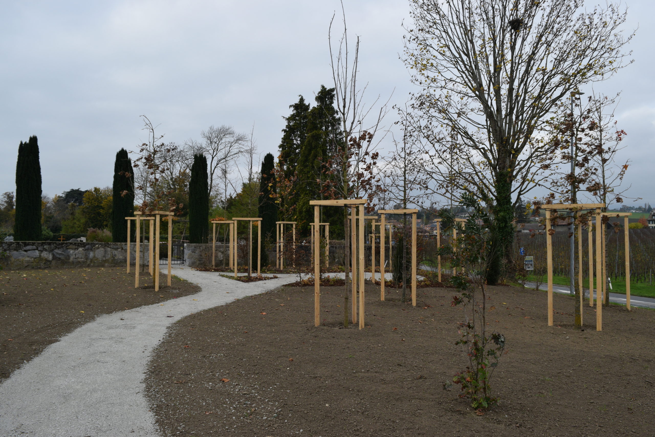 À Lully, un repos éternel auprès des arbres