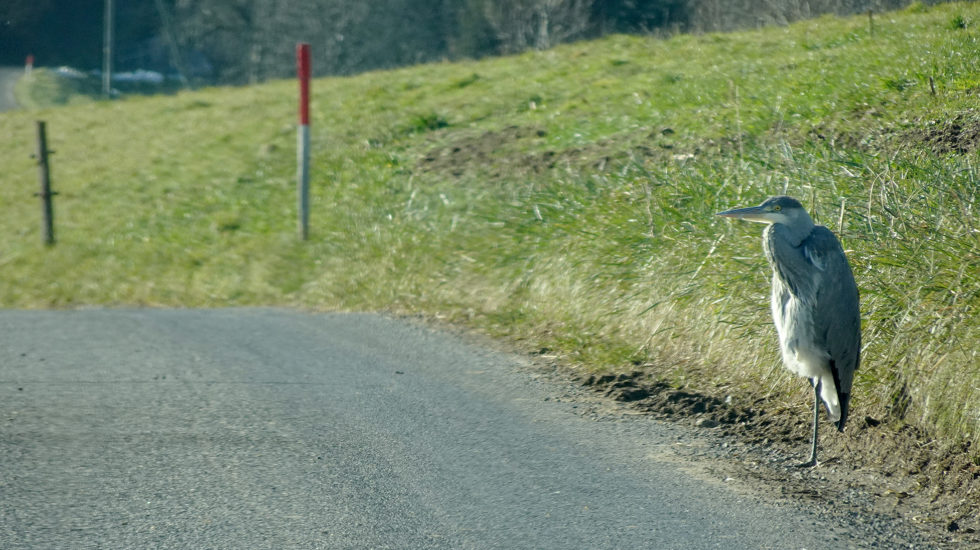 Le monde à ma porte - 10 janvier 2025