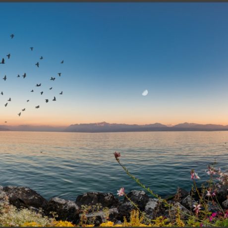 Le Léman n’a jamais été aussi chaud