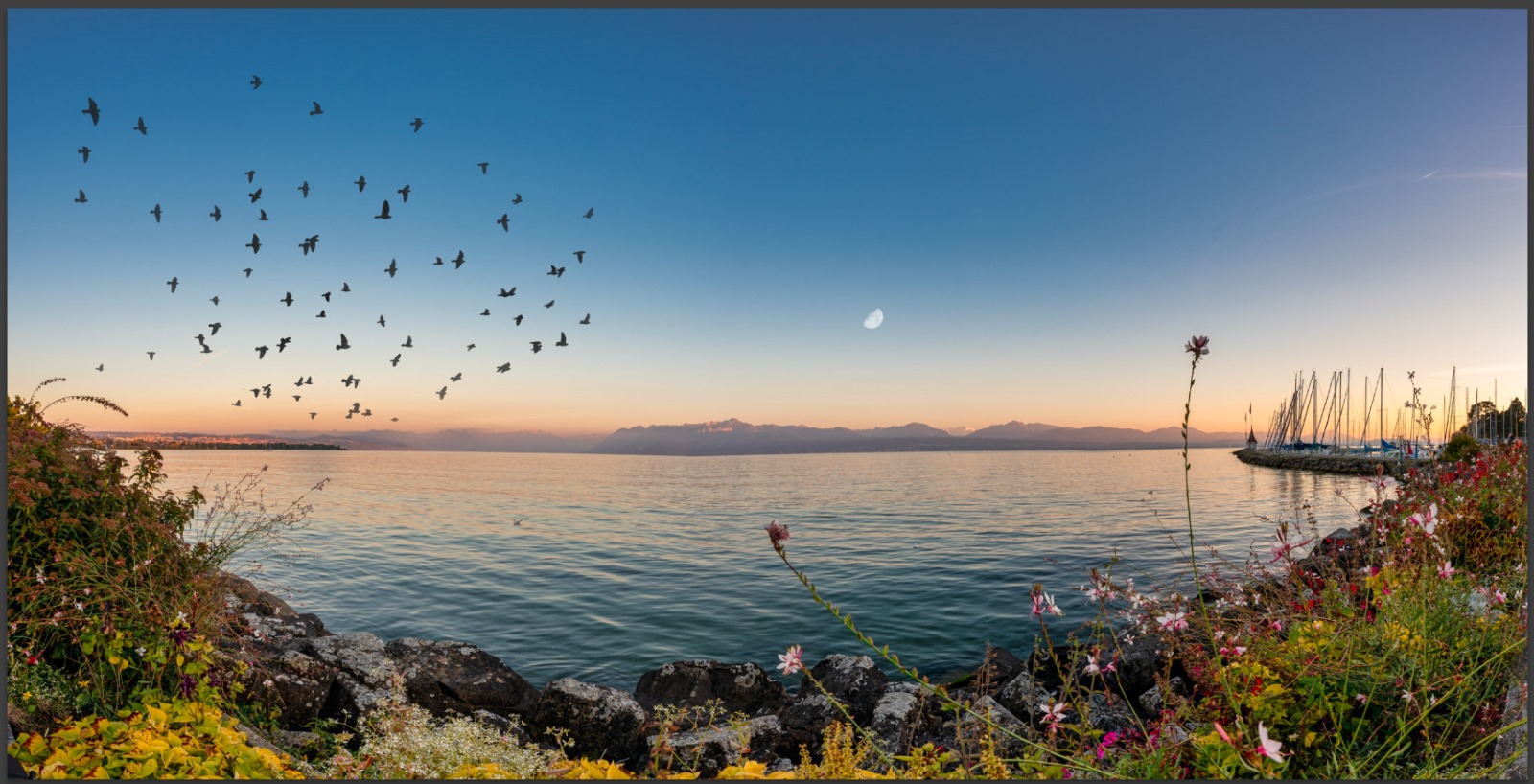 Le Léman n’a jamais été aussi chaud