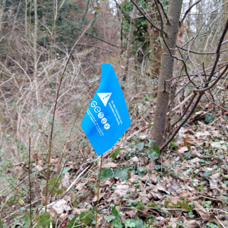 Ces drapeaux bleus n’ont rien d’anormal