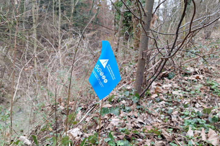 Ces drapeaux bleus n’ont rien d’anormal