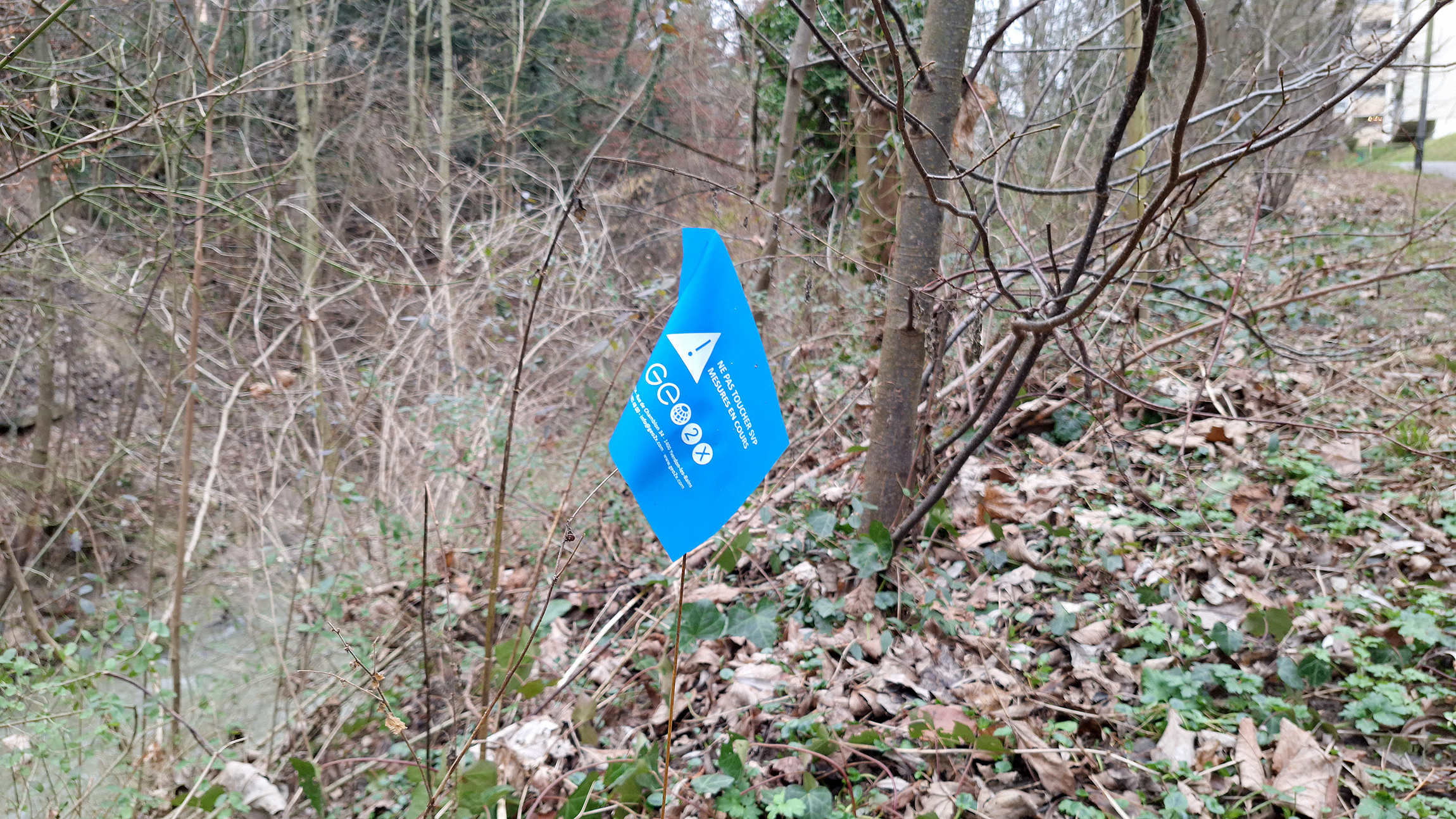 Ces drapeaux bleus n’ont rien d’anormal