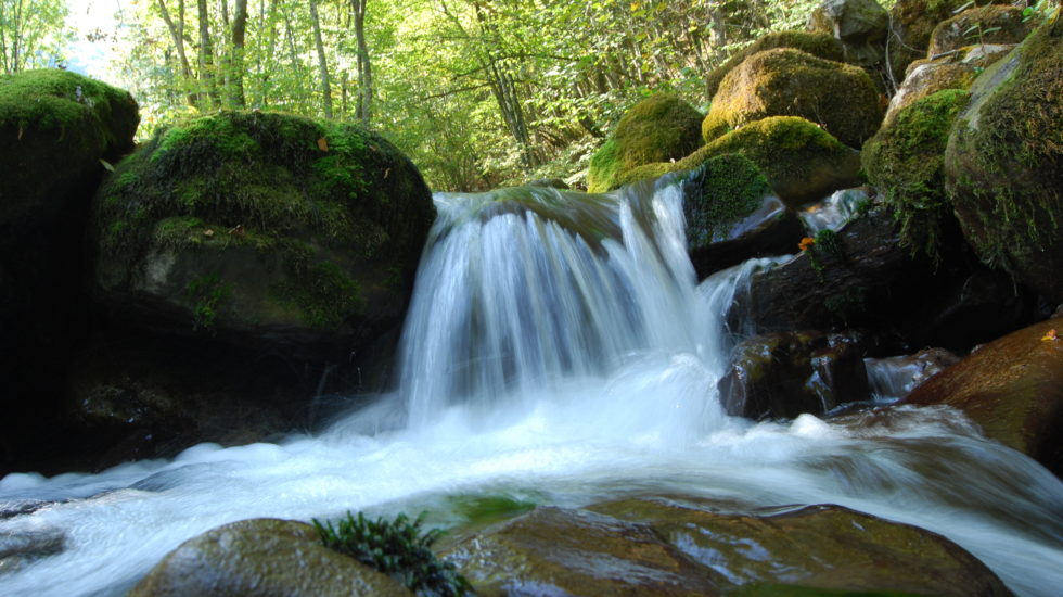 Le monde à ma porte - 28 février 2025