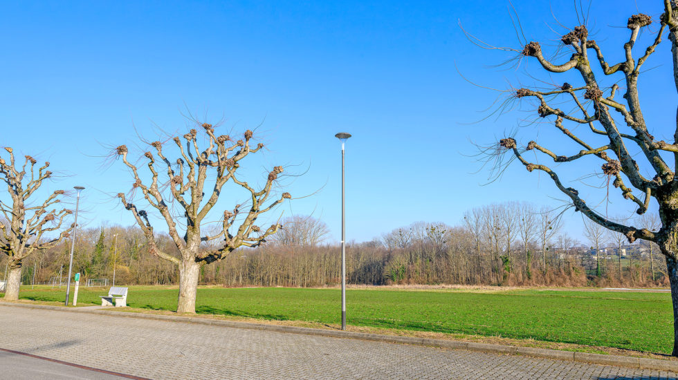 Denges doit encore valider le terrain synthétique du FC Echandens