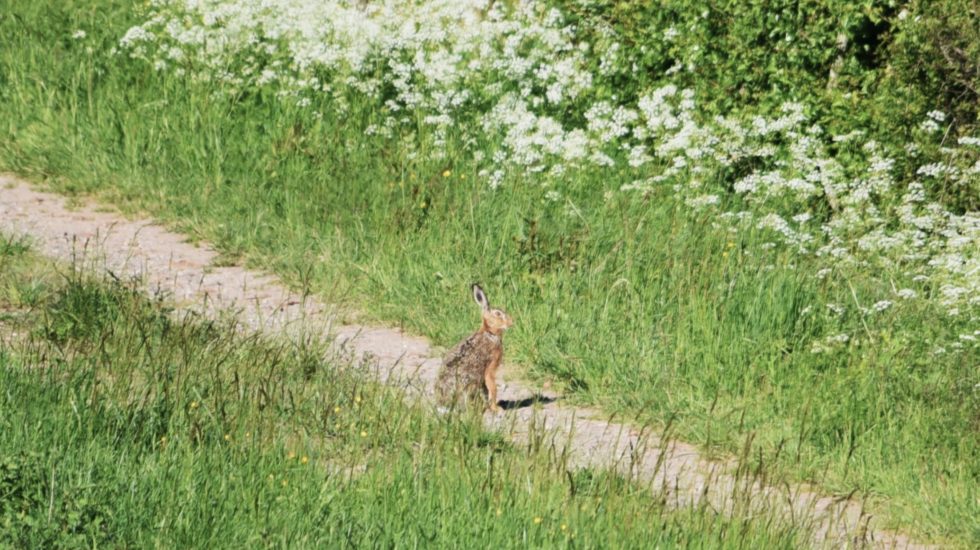 Le monde à ma porte - 17 avril 2025