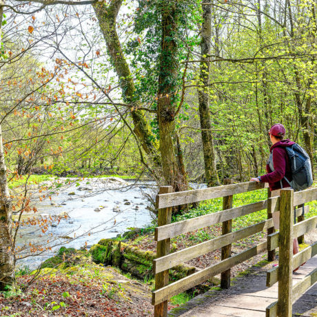Quand l’Aubonne raconte des histoires au fil de l’eau