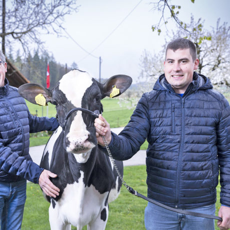 L’art de l’élevage Holstein en famille