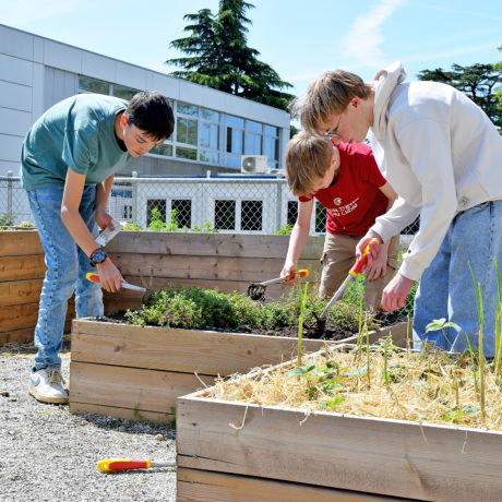 L’alimentation saine et durable s’apprend aussi