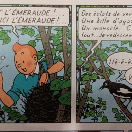 Le monde à ma porte – 2 mai 2025